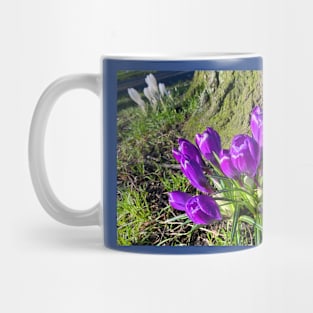 Purple Crocus Mug